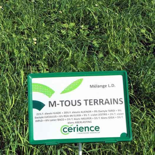 M-Tous Terrains mélange de 11 variétés